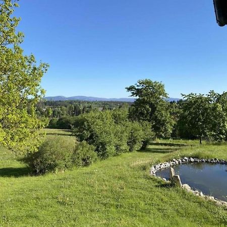 Cozy Apartment In Braunlage Near Forest Hohegeiß Zewnętrze zdjęcie