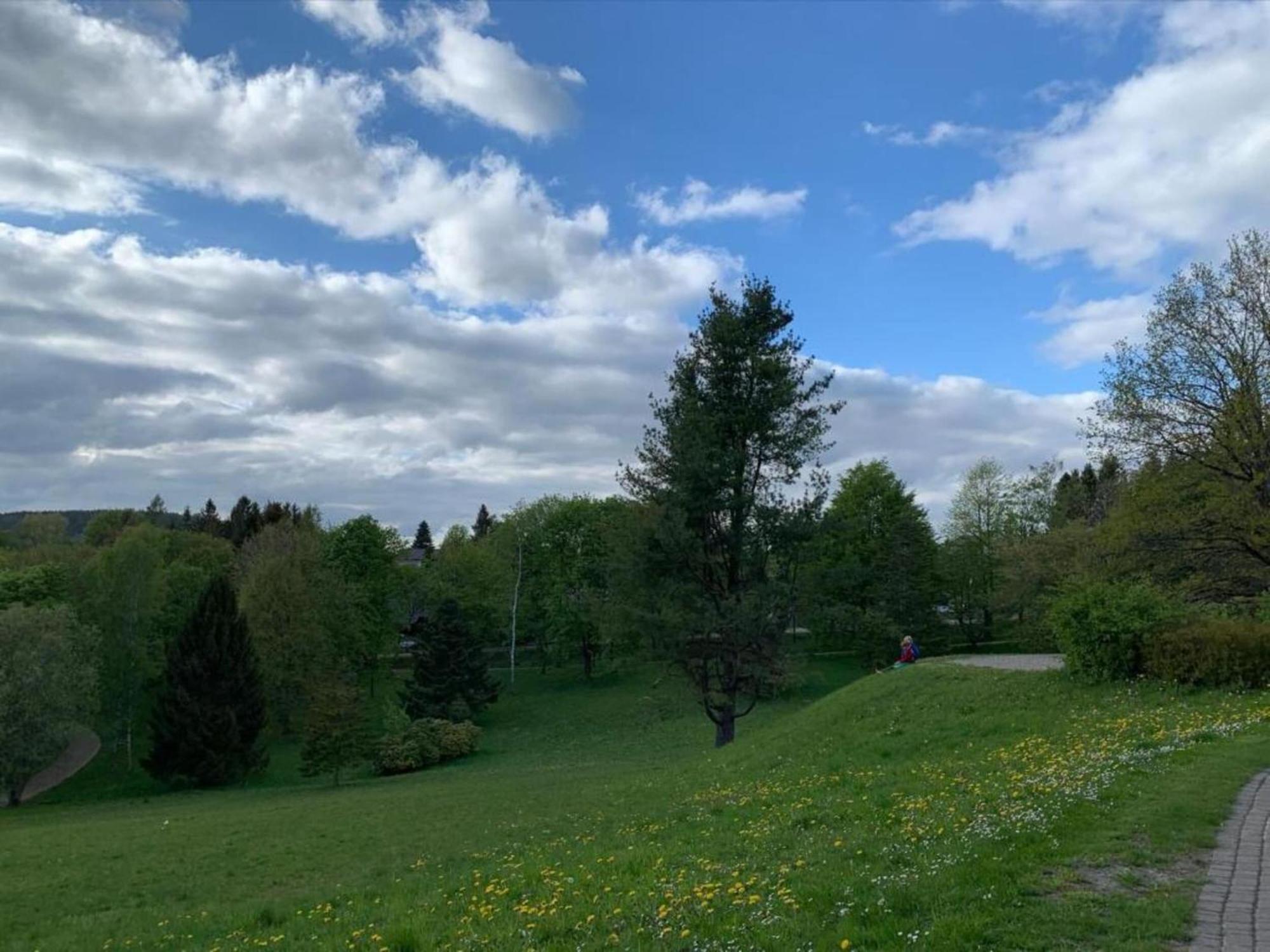 Cozy Apartment In Braunlage Near Forest Hohegeiß Zewnętrze zdjęcie