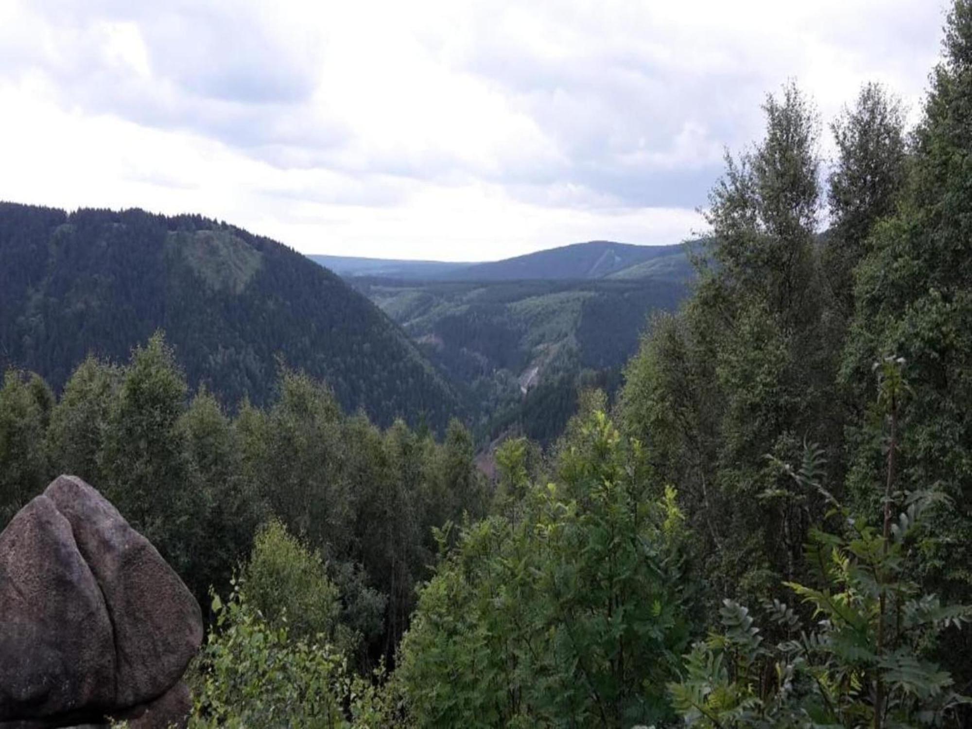 Cozy Apartment In Braunlage Near Forest Hohegeiß Zewnętrze zdjęcie