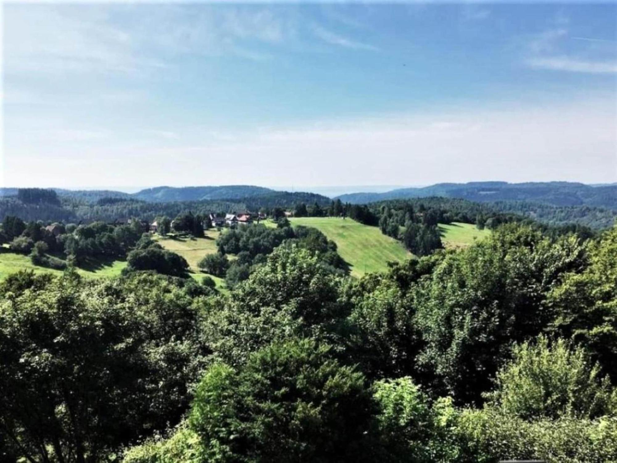 Cozy Apartment In Braunlage Near Forest Hohegeiß Zewnętrze zdjęcie