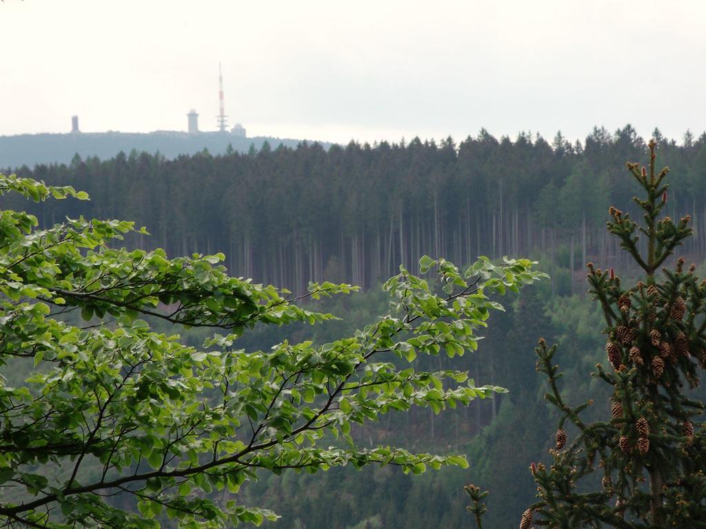 Cozy Apartment In Braunlage Near Forest Hohegeiß Zewnętrze zdjęcie