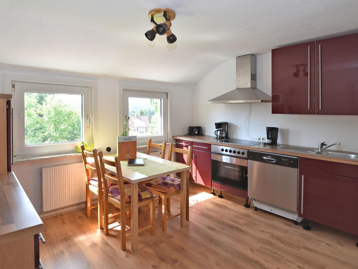 Cozy Apartment In Braunlage Near Forest Hohegeiß Zewnętrze zdjęcie